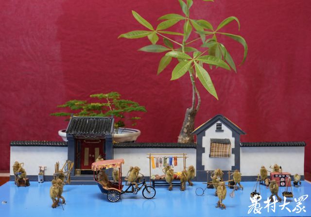 “毛猴杨”三十载匠心独运赋予非遗小猴喜怒哀乐(图1)