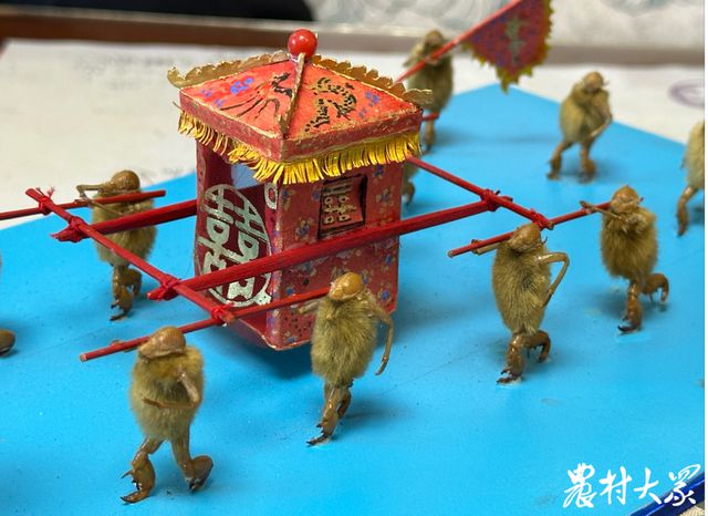 “毛猴杨”三十载匠心独运赋予非遗小猴喜怒哀乐(图5)