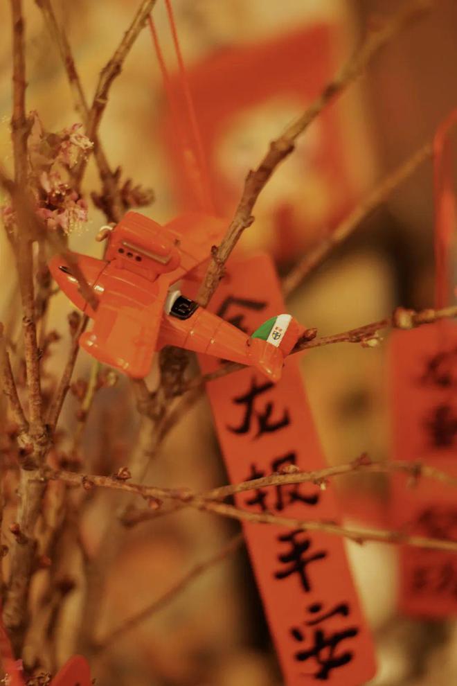 买了上百件36岁本命年的她说这10件红气养人最精彩！（无广）(图16)