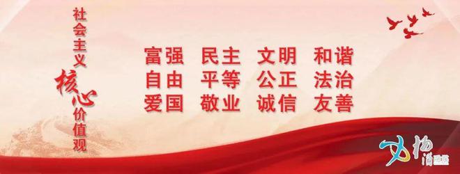 欢欢喜喜闹元宵杨浦这个街道真热闹丨爱申活 暖心春(图4)
