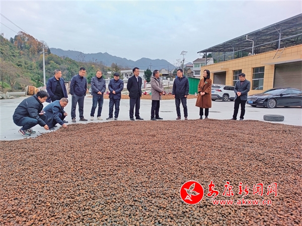 创新履职提质效 凝心聚力促发展——汉滨区政协2023年工作综述 - 安康新闻网(图2)