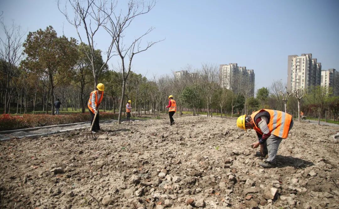 蝶舞纷飞、花海漫游家门口的“梦中情园”6月开放！(图4)