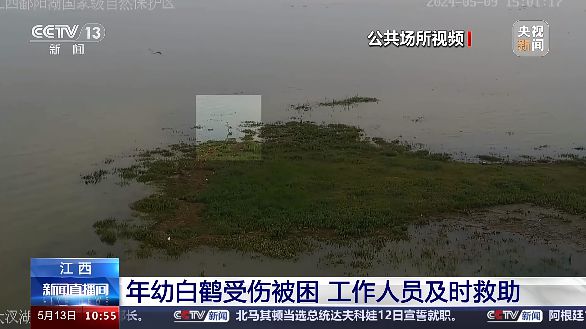 关注不断近期央媒频频聚焦九江！(图9)