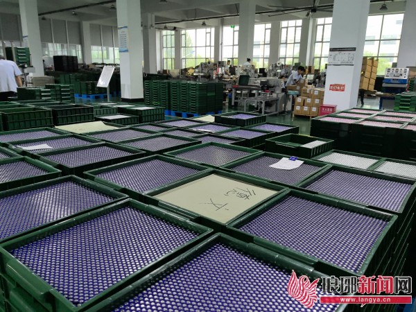 临沂市河东区：领跑“专精”赛道 汇聚“特新”动能(图5)