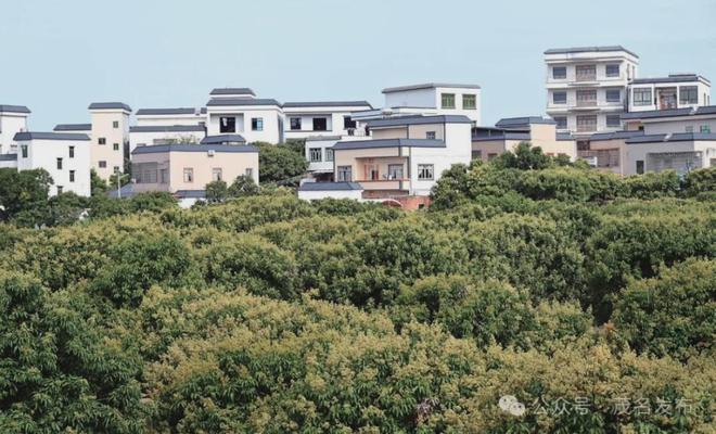 如何塑造岭南特色鲜明的村庄风貌？茂名用这24字回答→(图2)