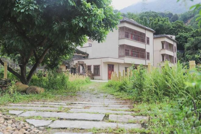 如何塑造岭南特色鲜明的村庄风貌？茂名用这24字回答→(图4)
