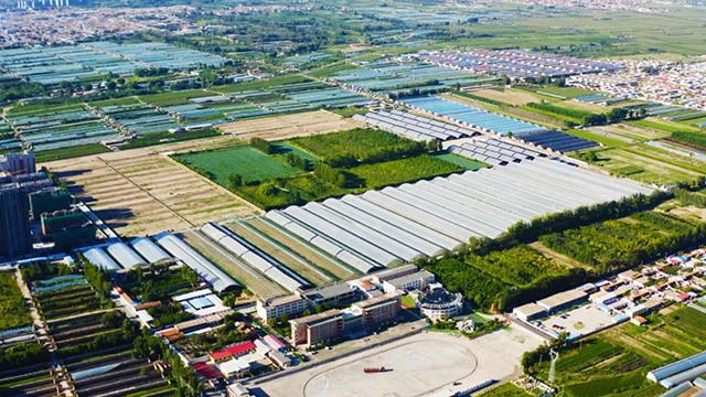 呼和浩特市赛罕区：科技赋能 产业升级 奋力谱写农业产业高质量发展新篇章(图1)