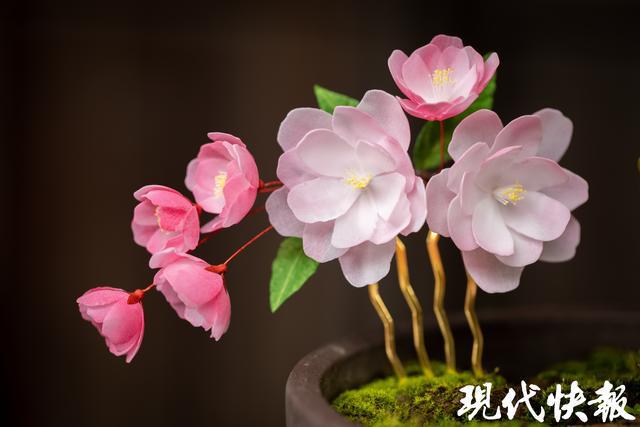 慕名来扬州学习通草花技艺14年湘妹子开出最美“传承之花”(图4)