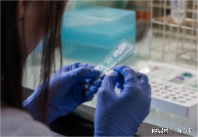 白乳胶涂料成分配方分析白乳胶材料定性定量化验(图2)